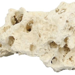 Amazon Zanzibar Rock, Large 2,0 – 3,0 kg