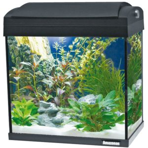 Amazonas Aquarium F30 24litres 36x24xH=39.5cm noir 1x11Watt