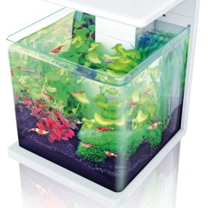 Amazonas Aquarium E-15, 15L blanc 280x272x342mm, filtre,lumiére avec senso
