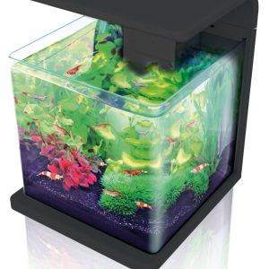 Amazonas Aquarium E-15, 15L noir 280x272x342mm, filtre,lumiére avec senso