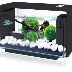 Amazonas Aquarium E-25, 25L noir 470x250x285mm, filtre, éclairage avec se