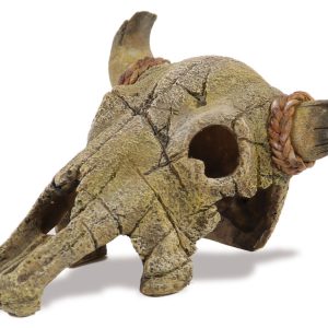 Amazonas crâne de buffle 13x21cm décoration pour reptiles